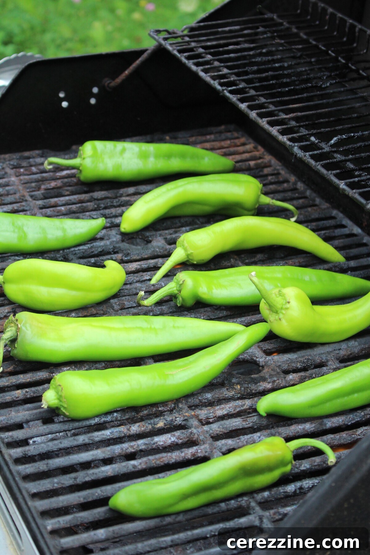 How to Can Hatch-Style Green Chiles at Home 11 Roasting Hatch Green Chilis