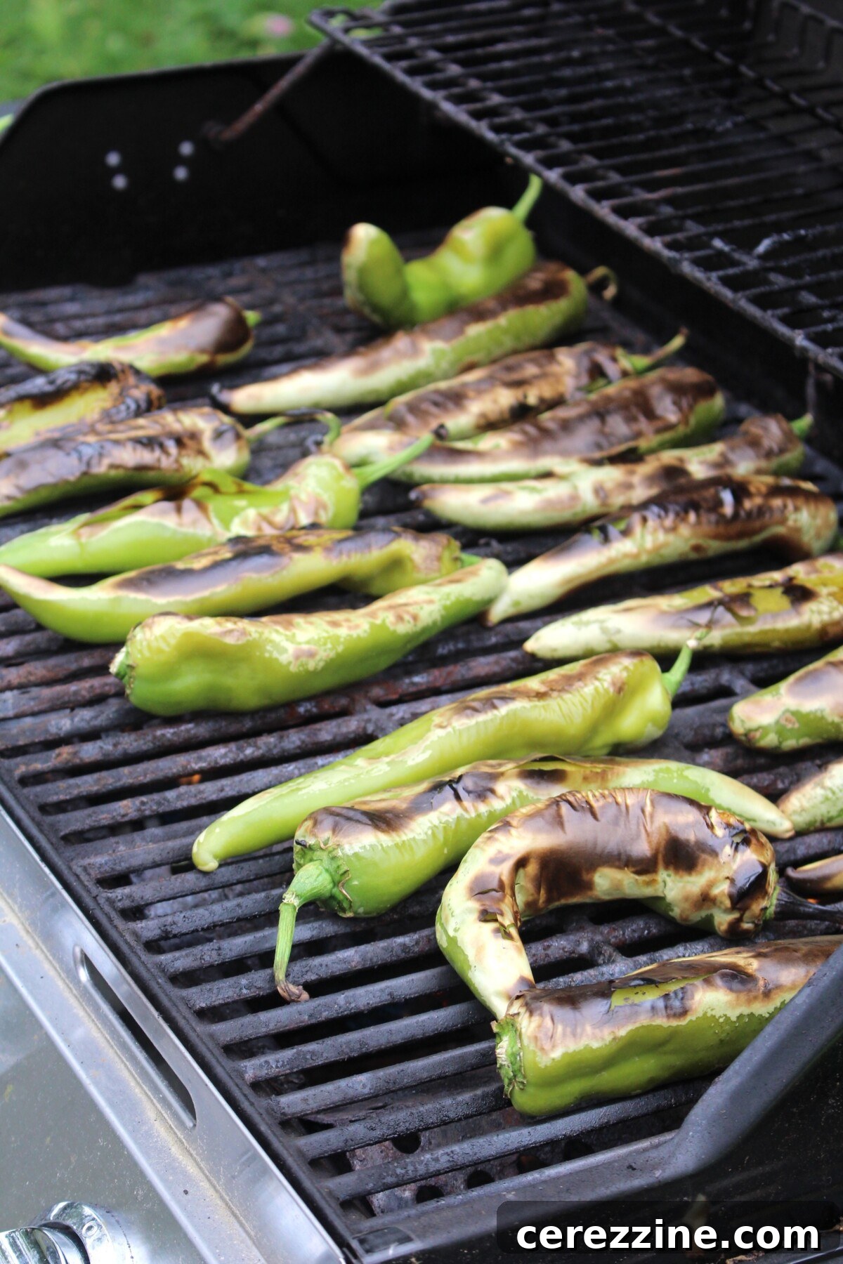 How to Can Hatch-Style Green Chiles at Home 12 Roasting Hatch Green Chilis