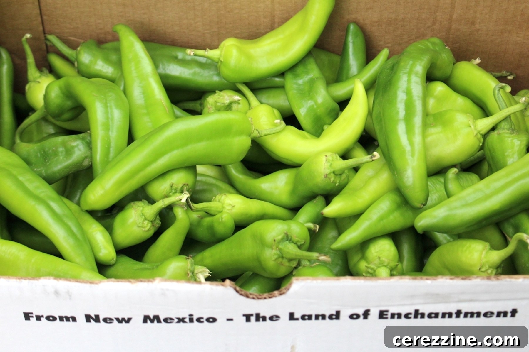 How to Can Hatch-Style Green Chiles at Home 8 Box of Hatch Chilis for canning 25 lb case