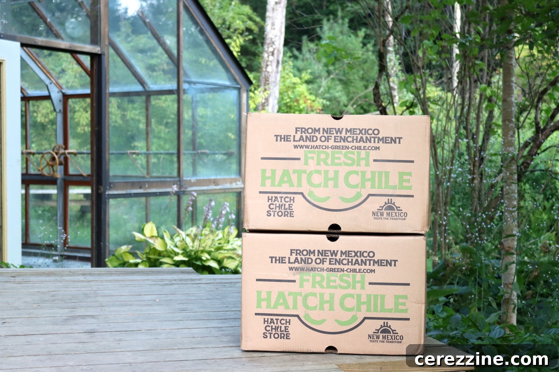 How to Can Hatch-Style Green Chiles at Home 9 Box of Hatch Chilis for canning 25 lb case