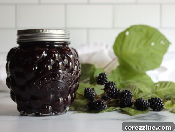 Seedless Blackberry Jam