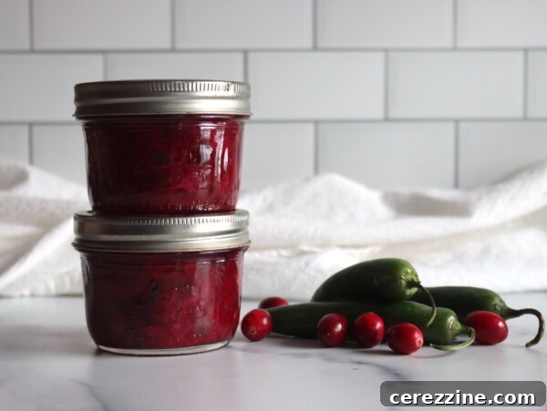 Cranberry Salsa