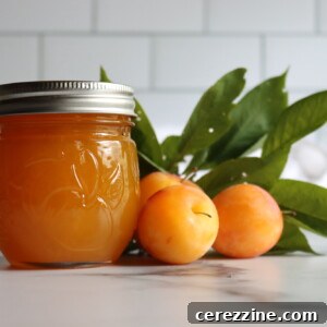 Yellow Plum Jam