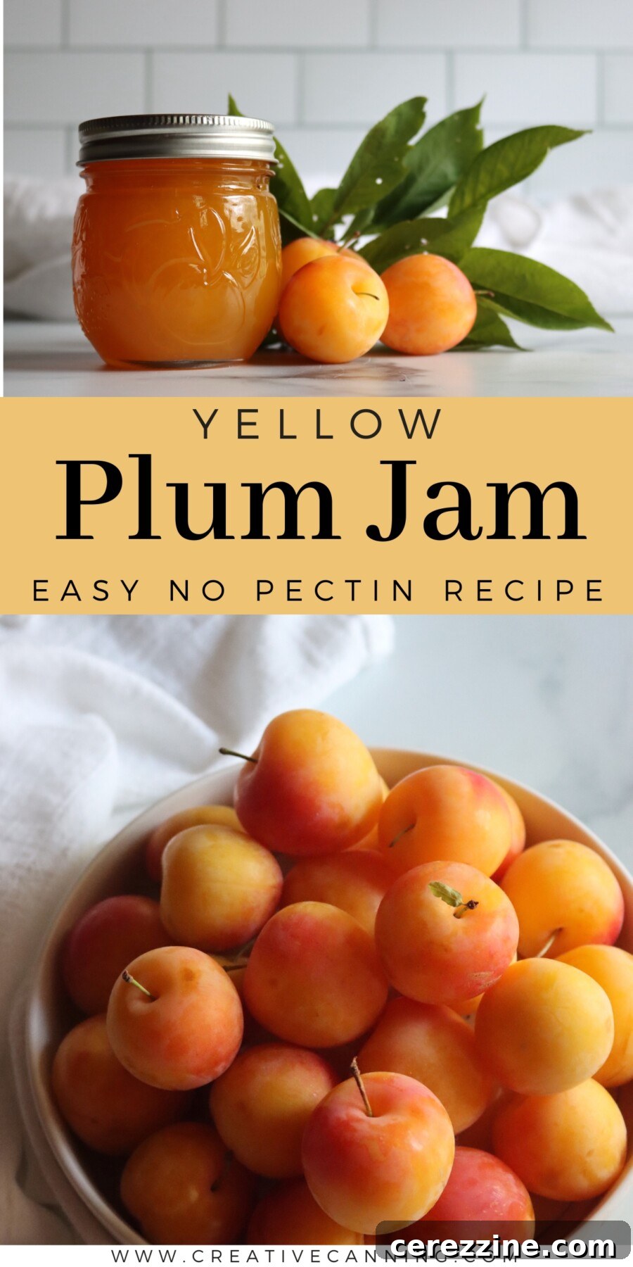 Yellow Plum Jam Recipe