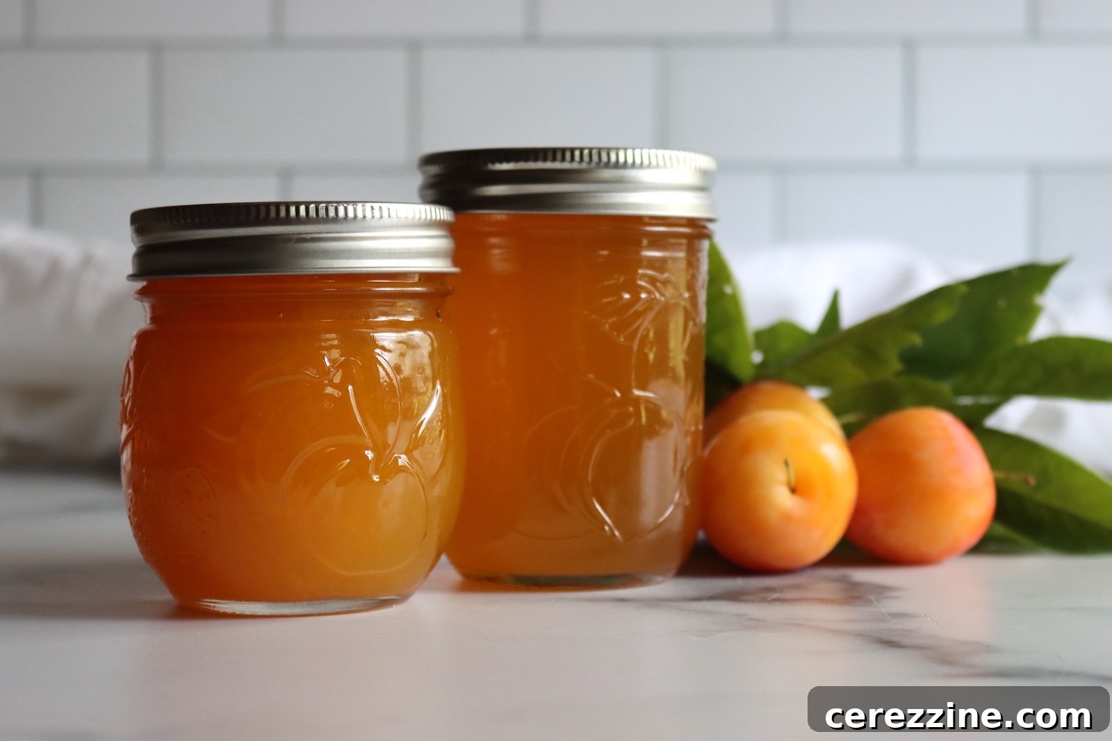 Yellow Plum Jam and Jelly