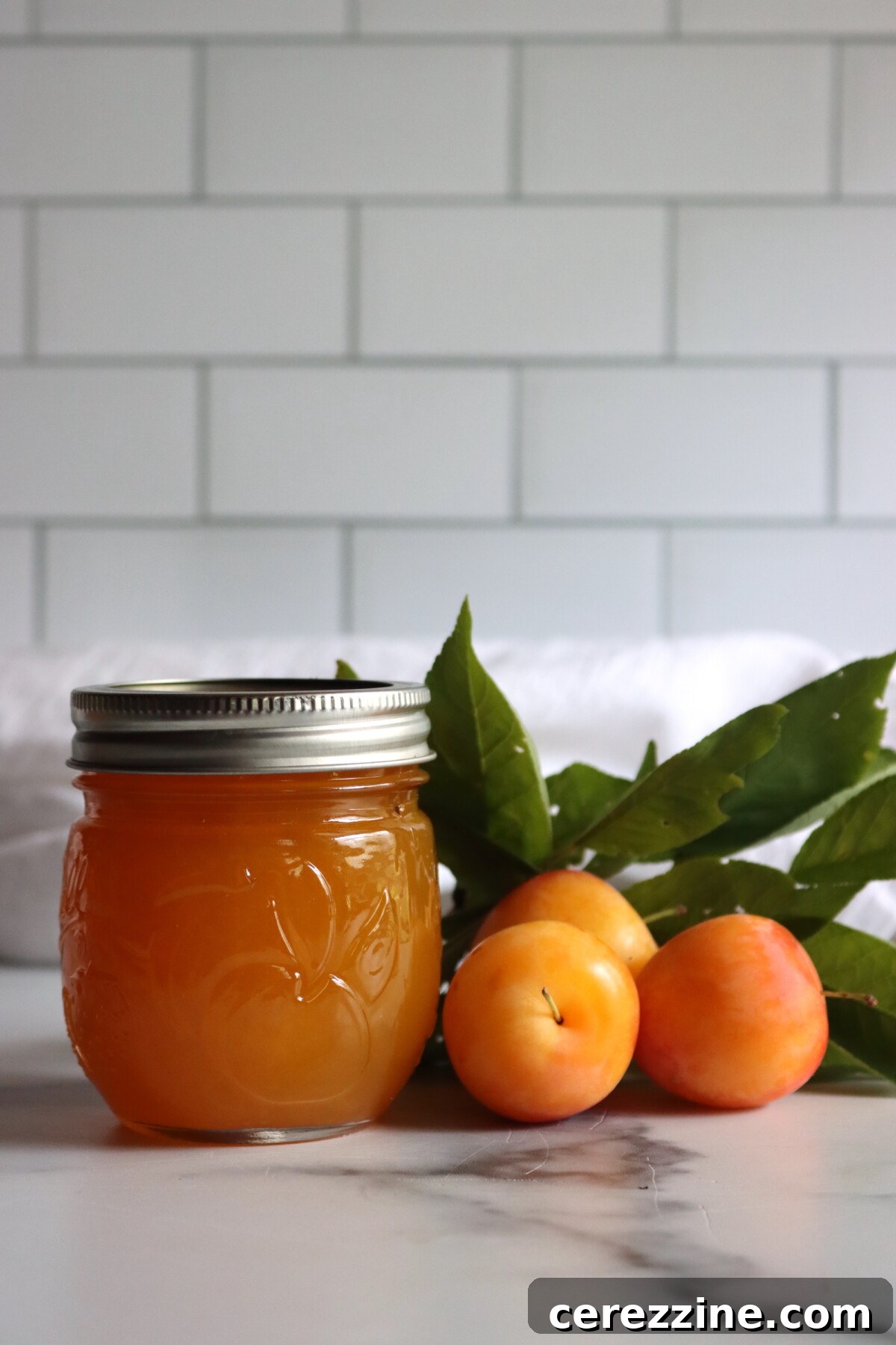 Yellow Plum Jam