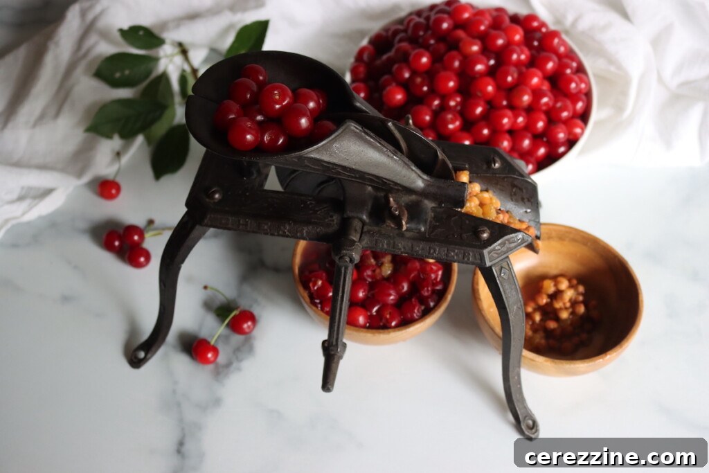 Antique Cherry Pitter
