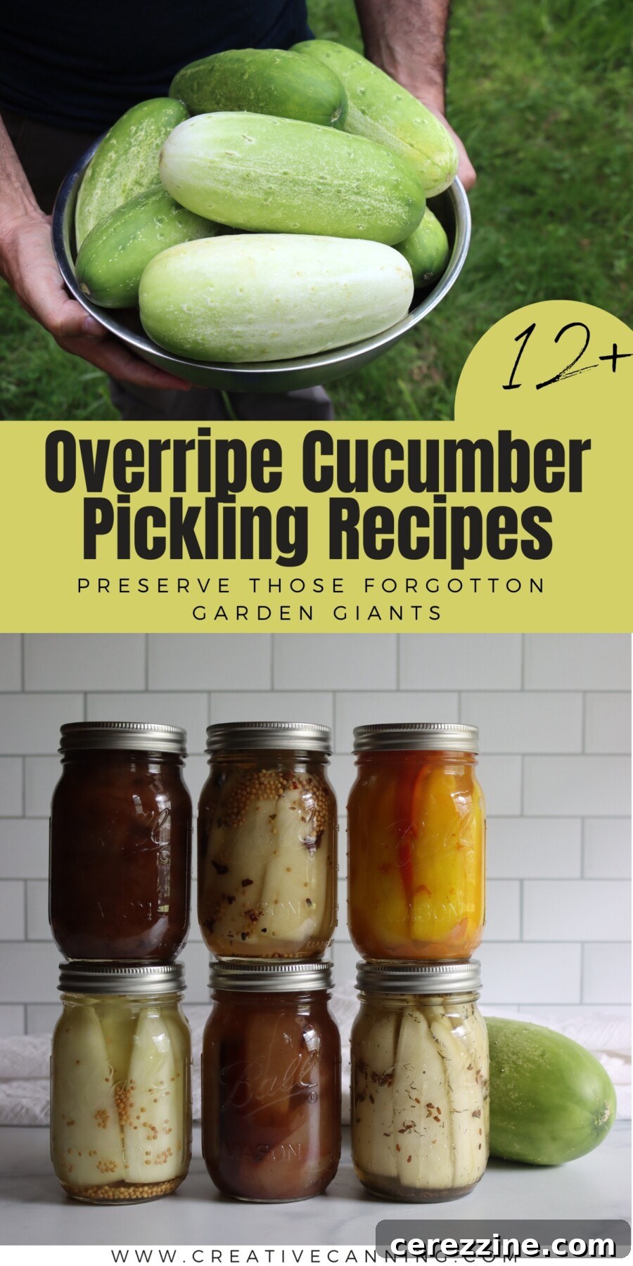 Overripe Cucumber Pickling Recipes