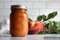 Homemade Peach BBQ Sauce Recipe, Sweet and Smoky