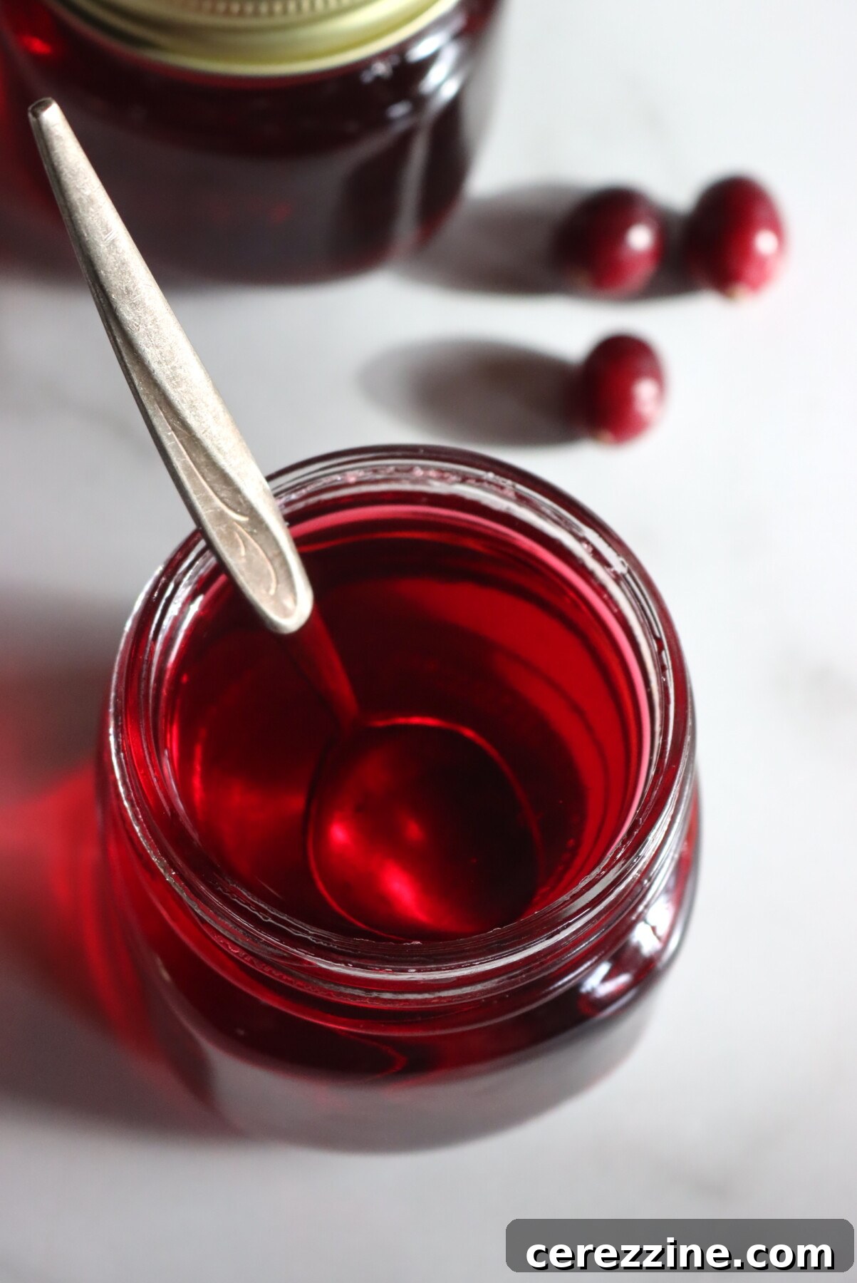 Cranberry Syrup
