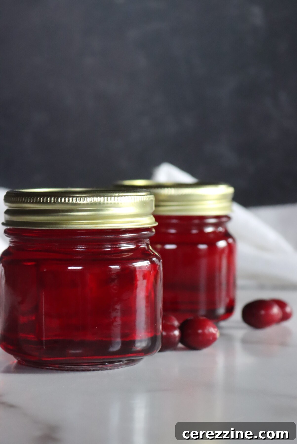 Cranberry Syrup