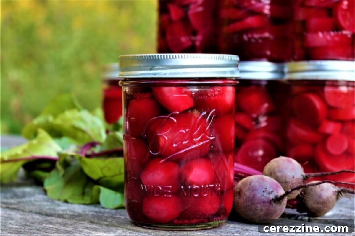 10+ Beet Canning Recipes for Flavorful Preserves 4 Canning Beets