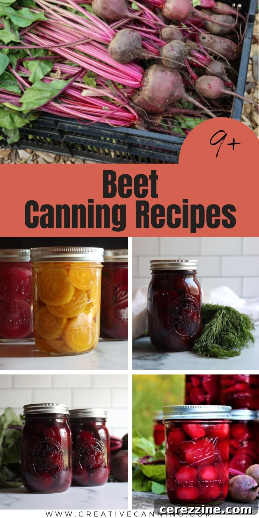 10+ Beet Canning Recipes for Flavorful Preserves 6 Beet Canning Recipes List