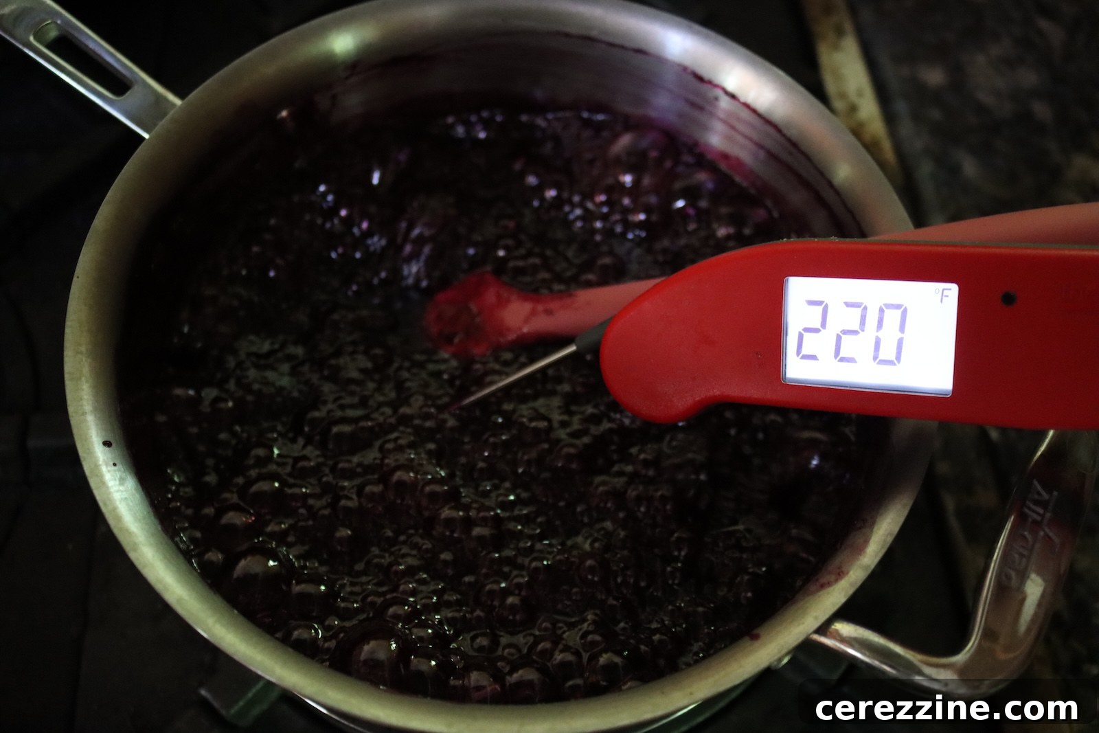 Wild Blueberry Jam Recipe: Homemade Small-Batch 9 Wild Blueberry Jam at gel point