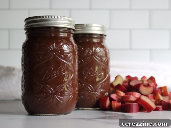 Rhubarb BBQ Sauce