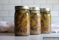 Pressure Canning Mississippi Pork Roast at Home