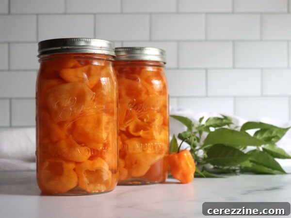 Pickled Serrano Peppers Recipe: Spicy Refrigerator Pickles 8 Pickled Habaneros