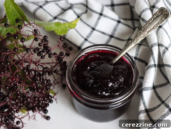 Elderberry Jelly