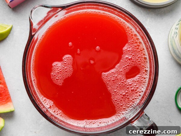 Watermelon Lemonade
