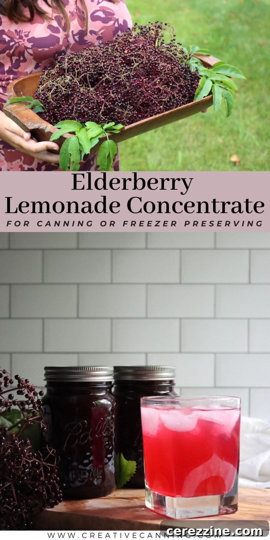 Elderberry lemonade concentrate recipe with fresh elderberries, jars of concentrate, and a glass of lemonade