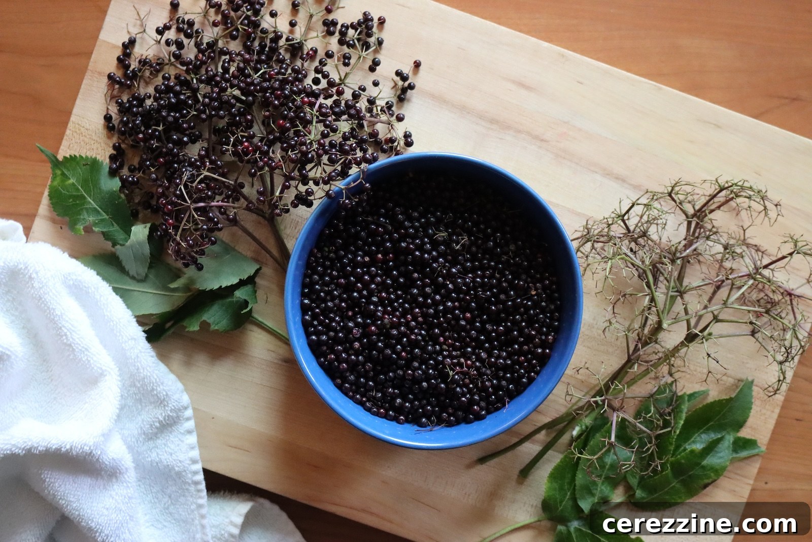 Blue bowl of de-stemmed elderberries on a cutting board with fresh elderberry clusters and stripped stems