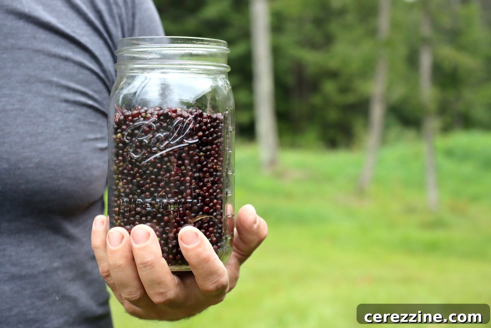 Hand holding a glass jar filled with de-stemmed elderberries outdoors