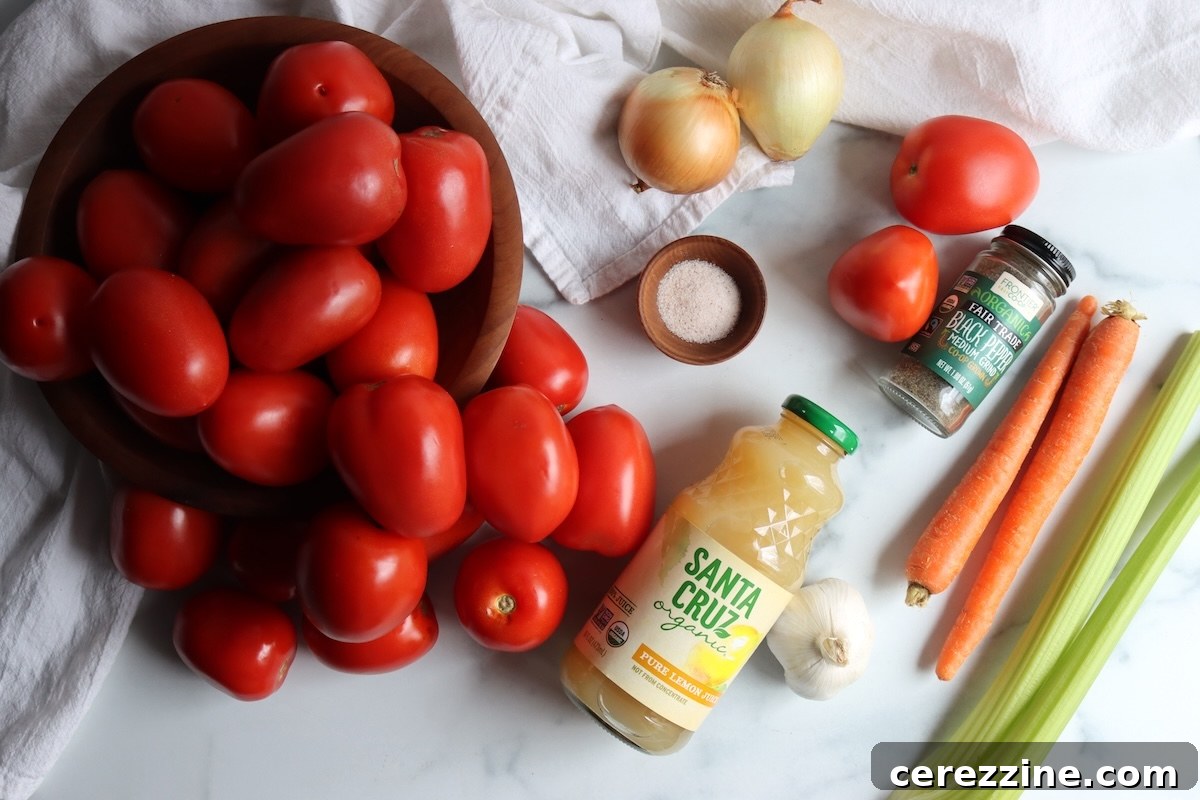 Roma tomatoes, onions, carrots, celery, garlic, salt and bottled lemon juice for Italian tomato sauce