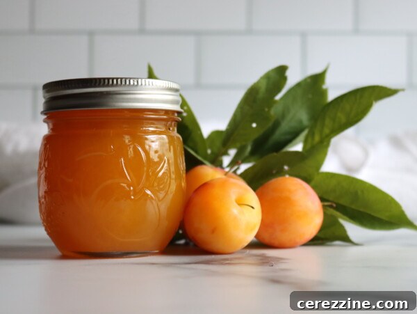 Yellow Plum Jam