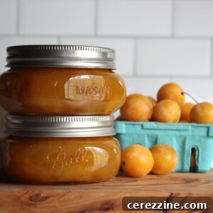 Mirabelle Plum Jam