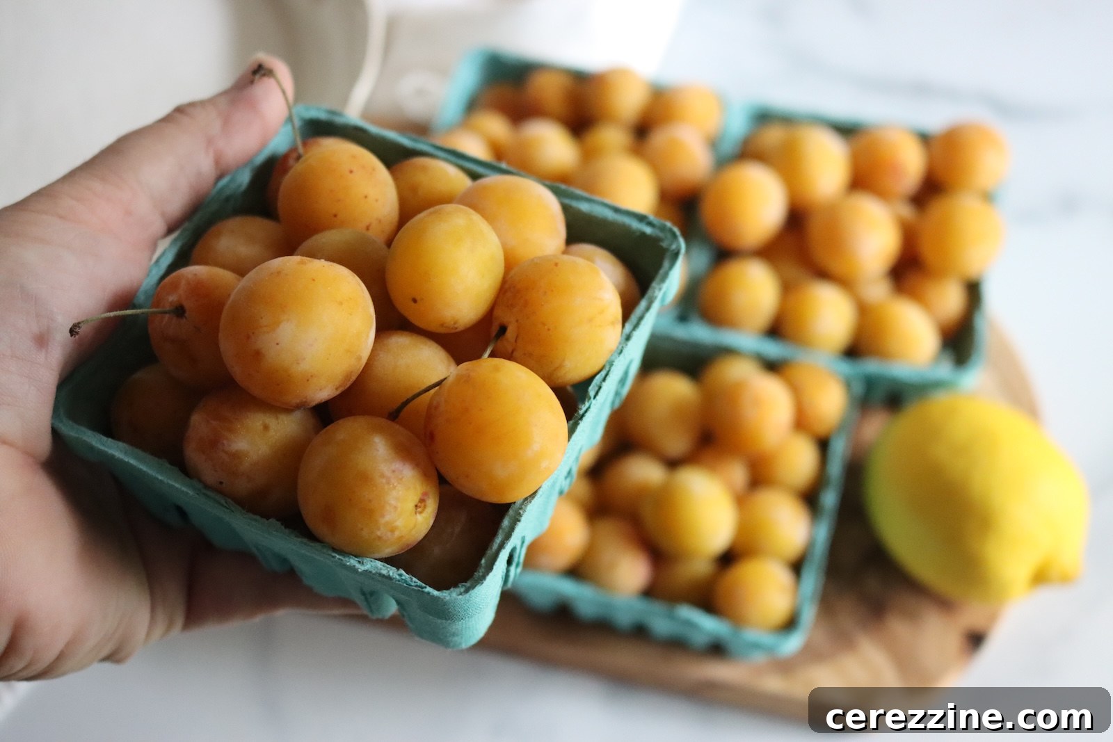 Hand holding a basket of fresh mirabelle plums